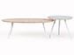 MESA DE CENTRO MEDULAR AULA NATURAL - Miniatura 4