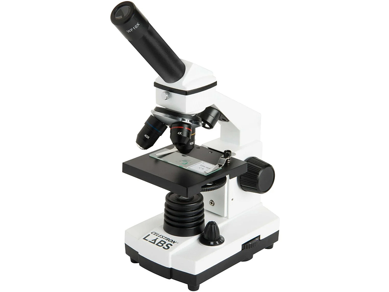 MICROSCOPIO CELESTRON CM800 1