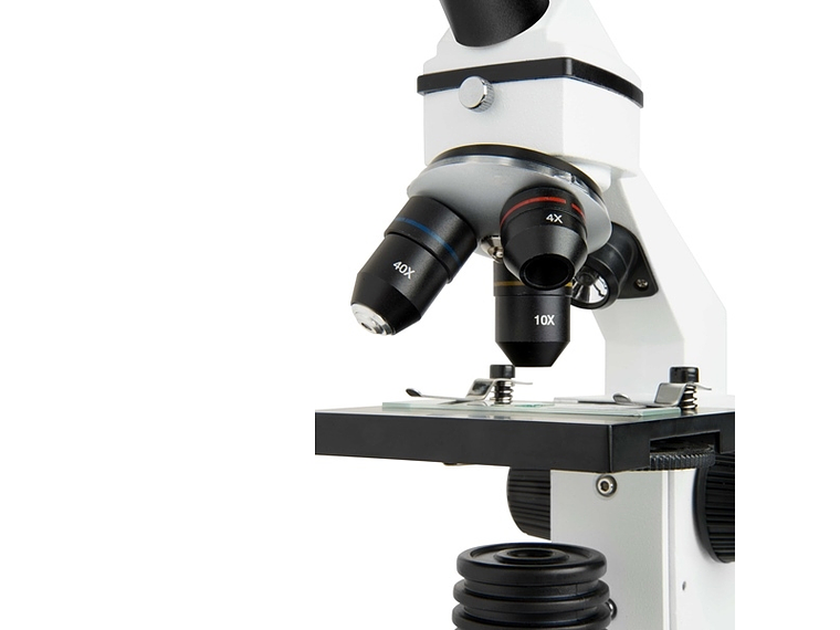 MICROSCOPIO CELESTRON CM800 3