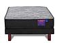 CAMA EUROPEA FLEX THERAPEDIC PLUS BOX 1.5 PLAZAS - Miniatura 2