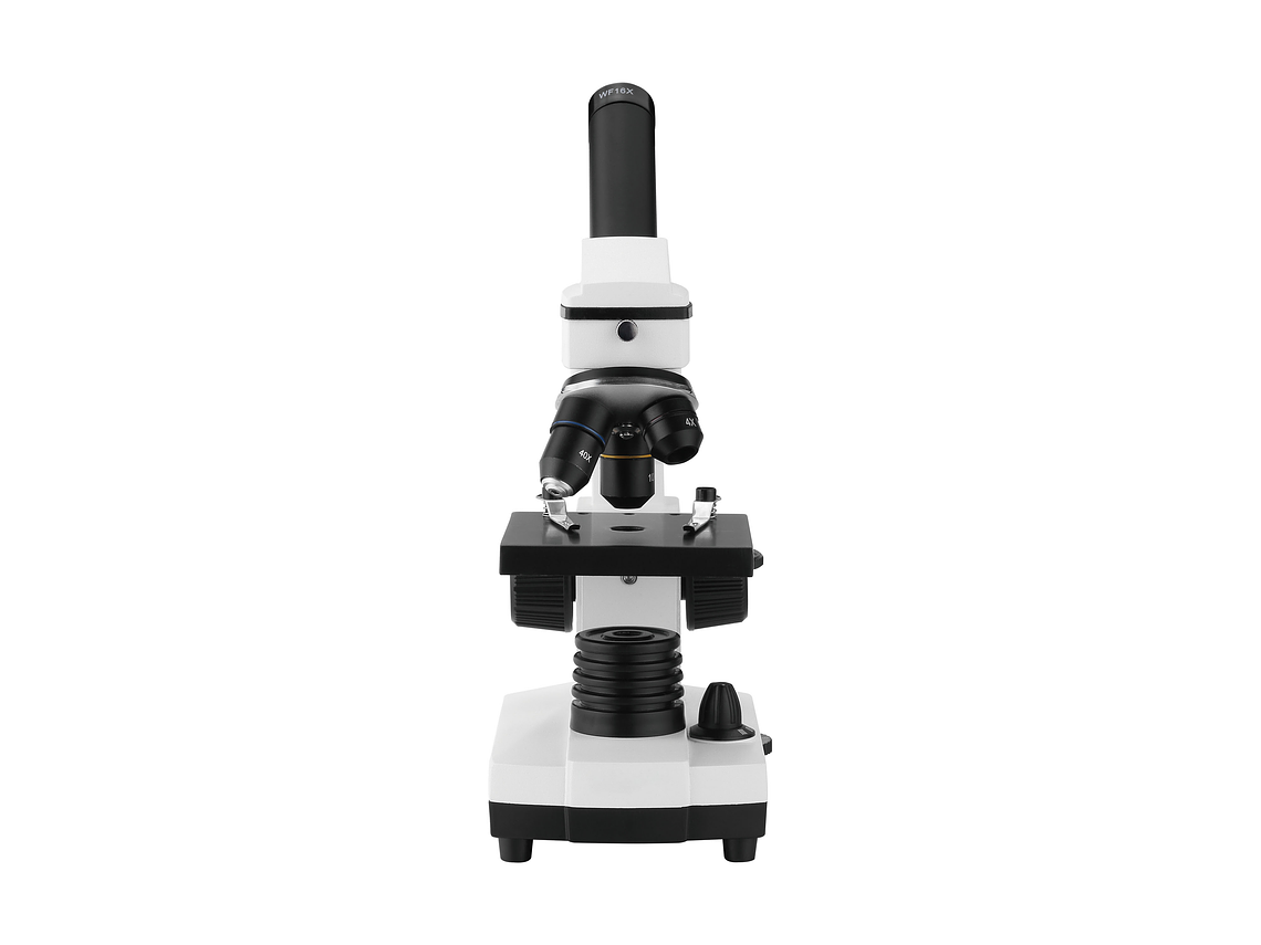 MICROSCOPIO EDUCATIVO 3