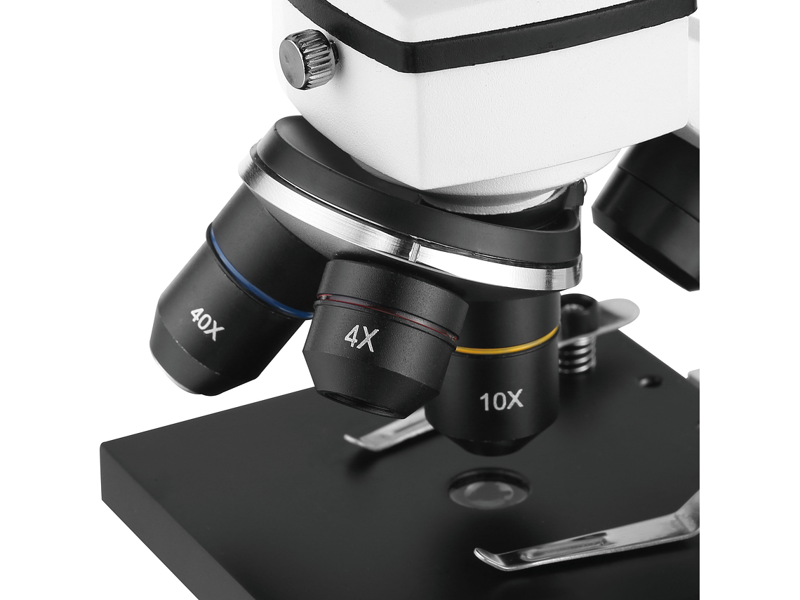 MICROSCOPIO EDUCATIVO 5