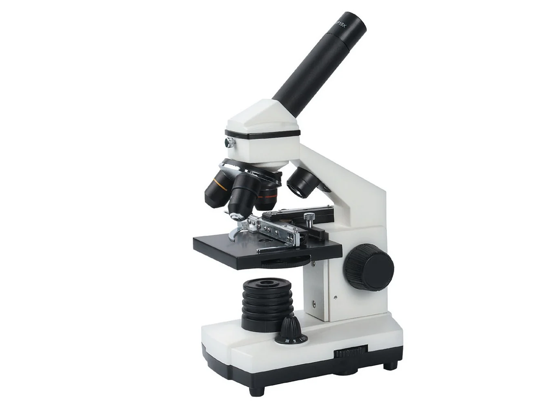 MICROSCOPIO EDUCATIVO BM-42 1