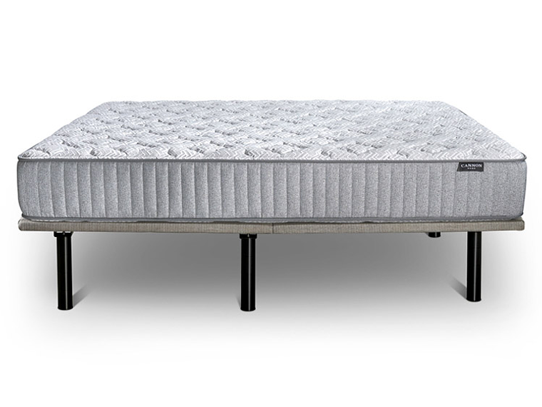 CAMA ELÉCTRICA CANON ACCESS VISCO 2PL 3