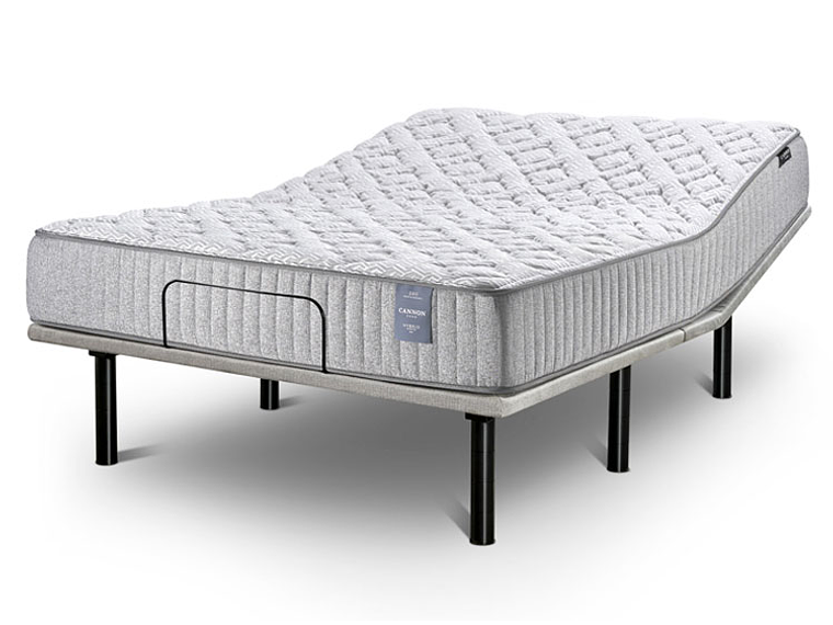 CAMA ELÉCTRICA CANON ACCESS VISCO 2PL 4