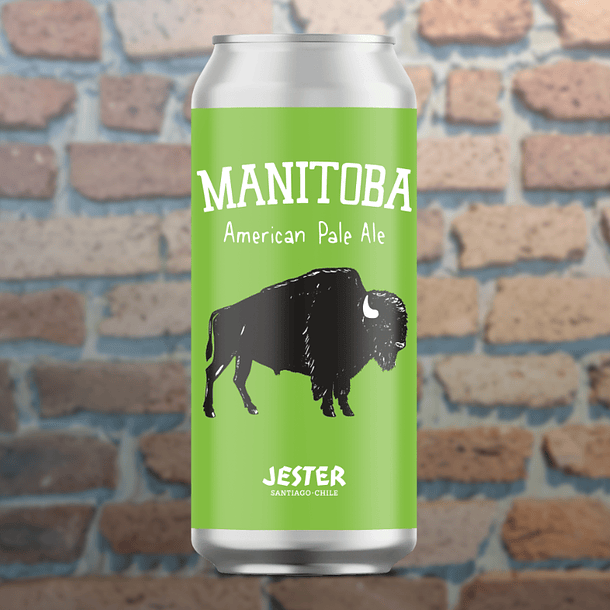 Jester Manitoba (American Pale Ale) 1