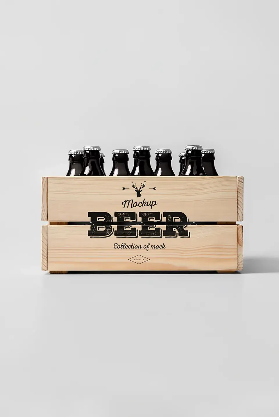 Monthly subscription pack of 12 Lager beers 1
