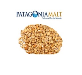 Trigo Malteado (Patagonia Malt) x kilo