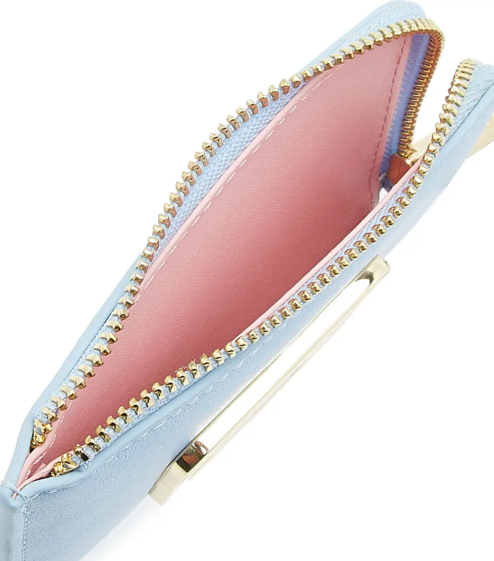 Chiara Ferragni Tarjetero celeste 4