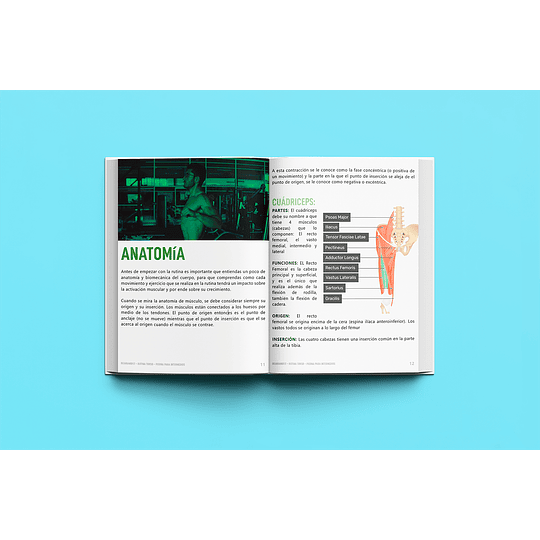 ANTES - RUTINA TORSO - PIERNA: INTERMEDIOS - 4X SEMANA