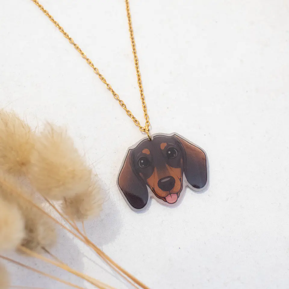 Collar 
