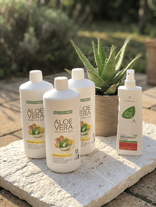 Set Triplo Aloé Vera Imune Plus + Oferta Spray Hidratante
