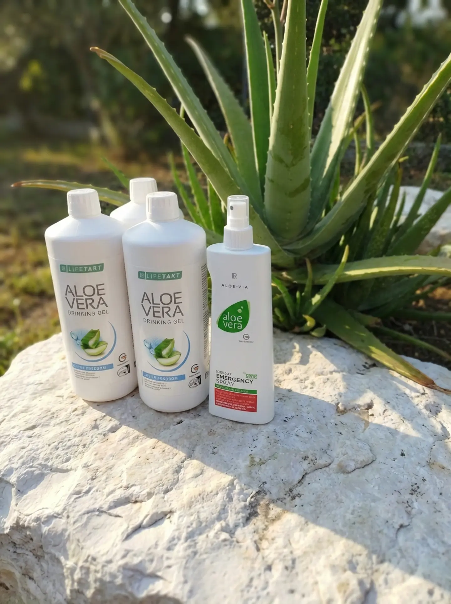 Set Triplo Aloé Freedom + Oferta Spray Hidratante 1