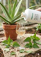  Aloe Vera Drinking Gel Sivera LR – Com Extrato de Urtiga e Sílica - Thumbnail 3