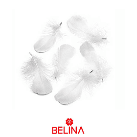 Plumas Decorativas Blanca 50pcs