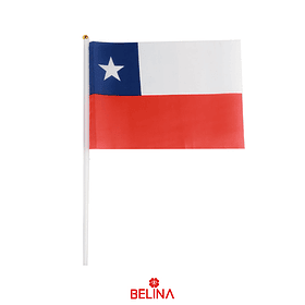 Bandera Chilena 20x30cm