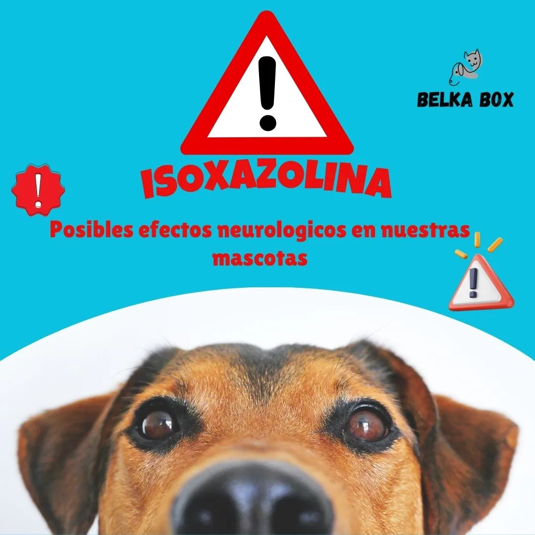 Información Importante para Propietarios de Mascotas y Veterinarios sobre Productos con Isoxazolina