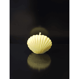 Vela de soya shell 7 cm 