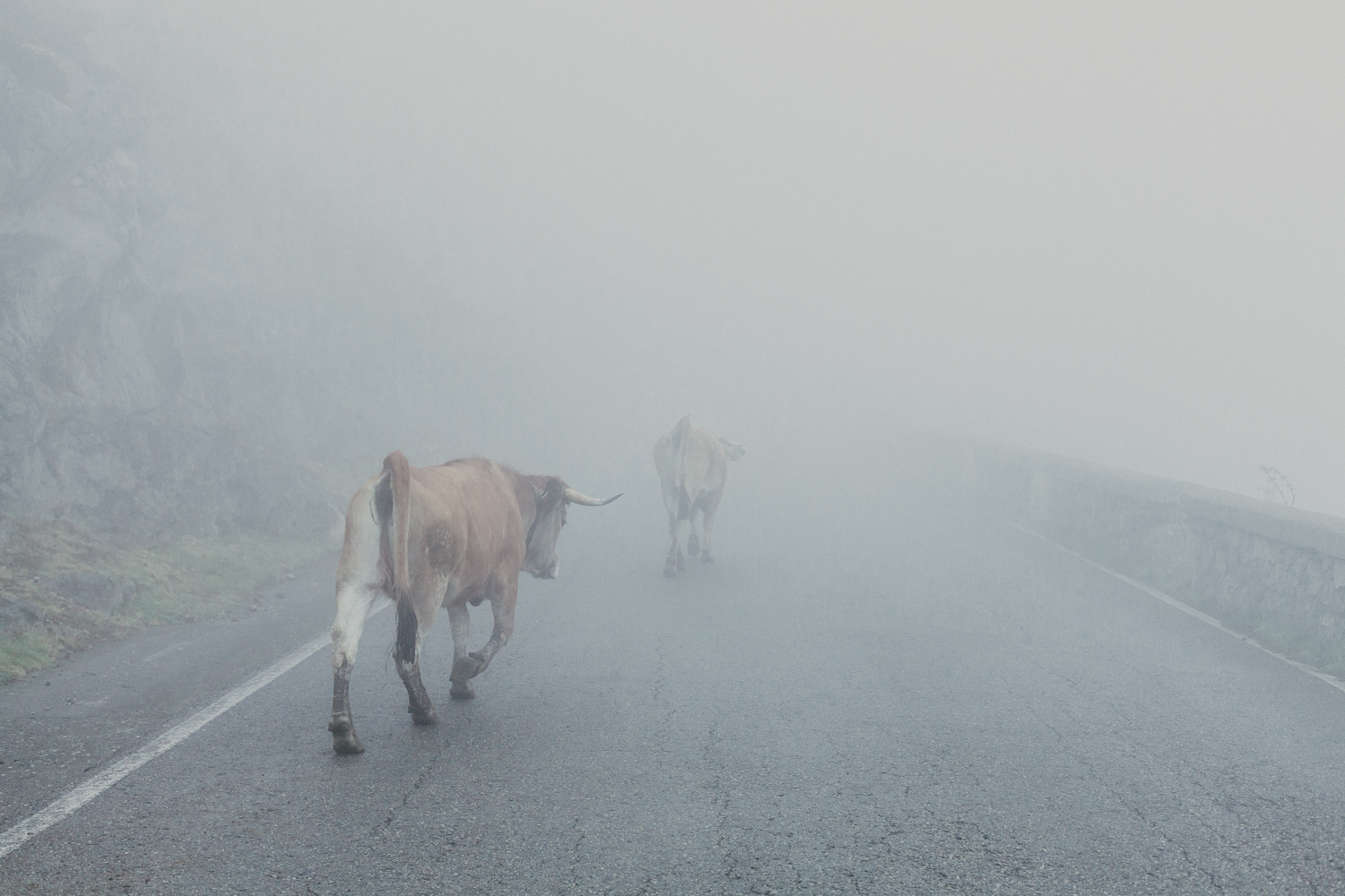 Invierno en Asturias II