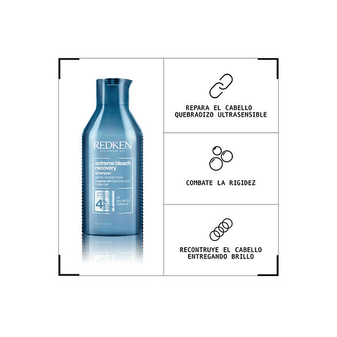 Shampoo Extreme Bleach Recovery 500 ML