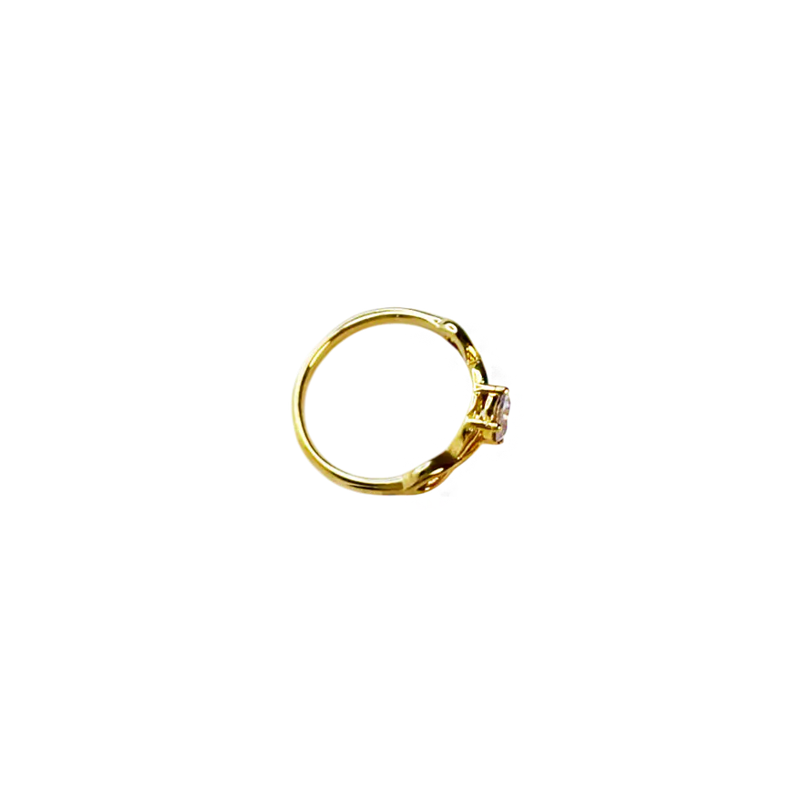 Anel Clarisse Dourado 2