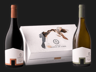 Aldeia de Cima Reserva Branco e Tinto - Cx 2gfs