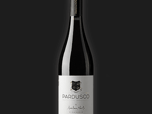 Anselmo Mendes Pardusco