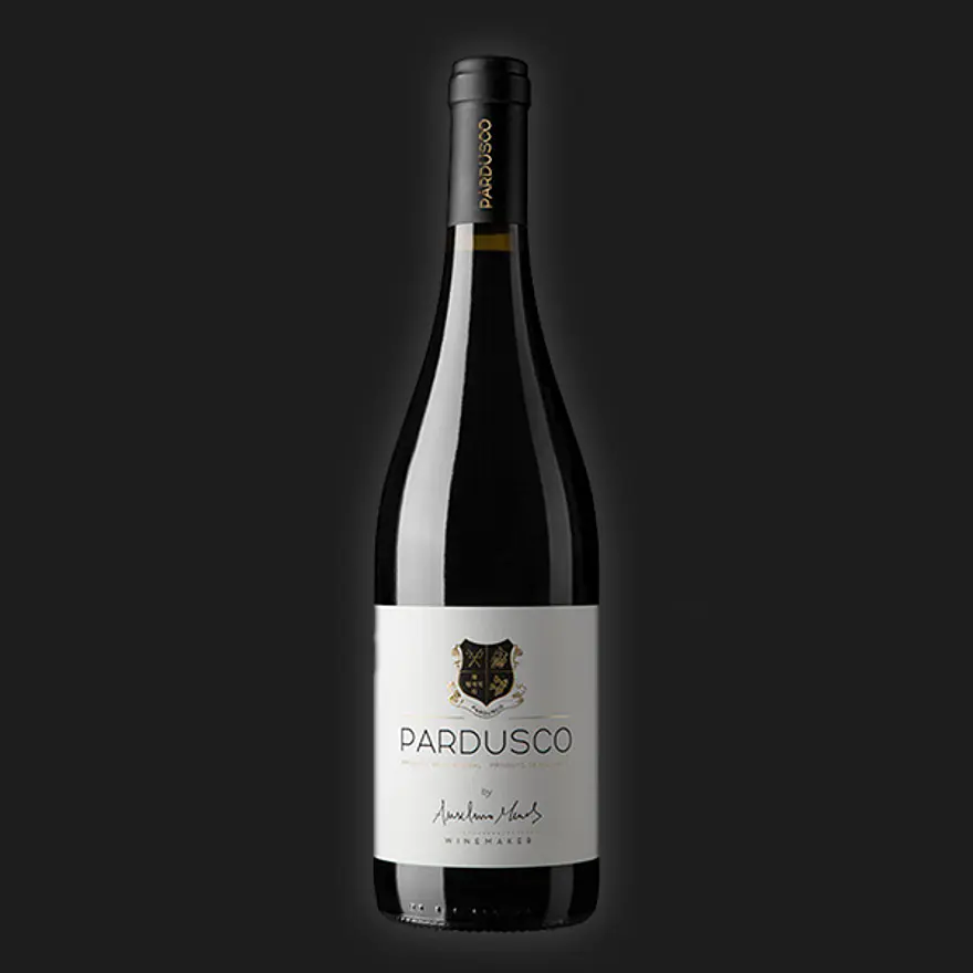 Anselmo Mendes Pardusco 1