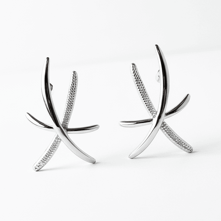 Brinco Elian Prateado 2