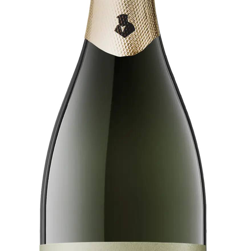 D. GRAÇA ESPUMANTE BRUTO GOUVEIO - VINILOURENÇO  2