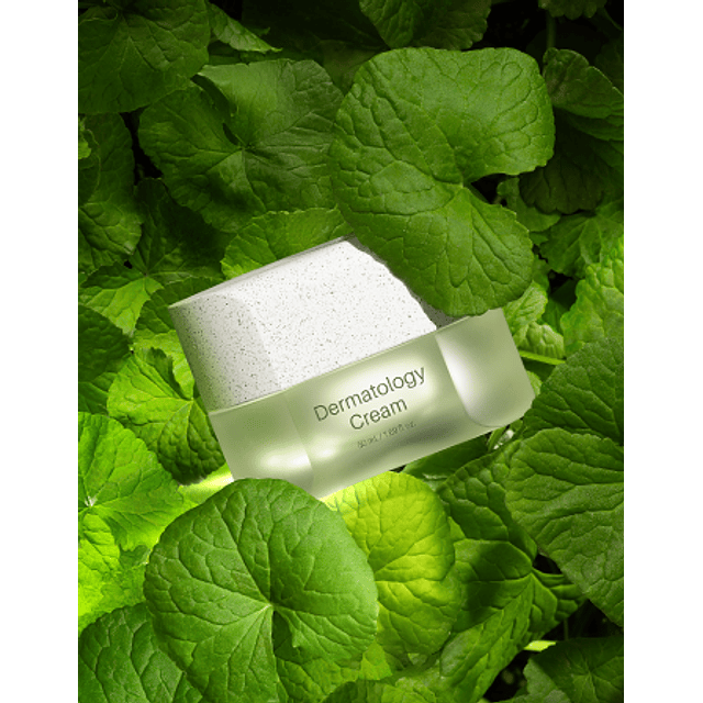 ICD DERMATOLOGY CREAM