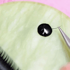 Mezclador de Pigmentos - Piedra de Jade 8