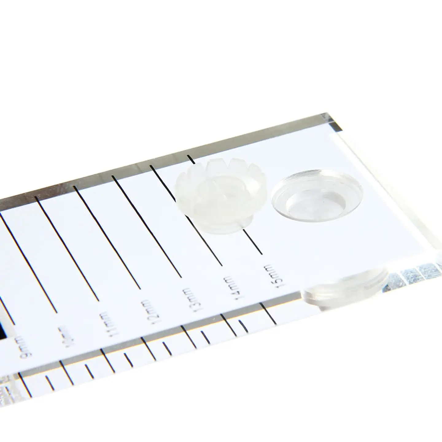 Paleta Acrílica para Pegamento de Pestañas 2