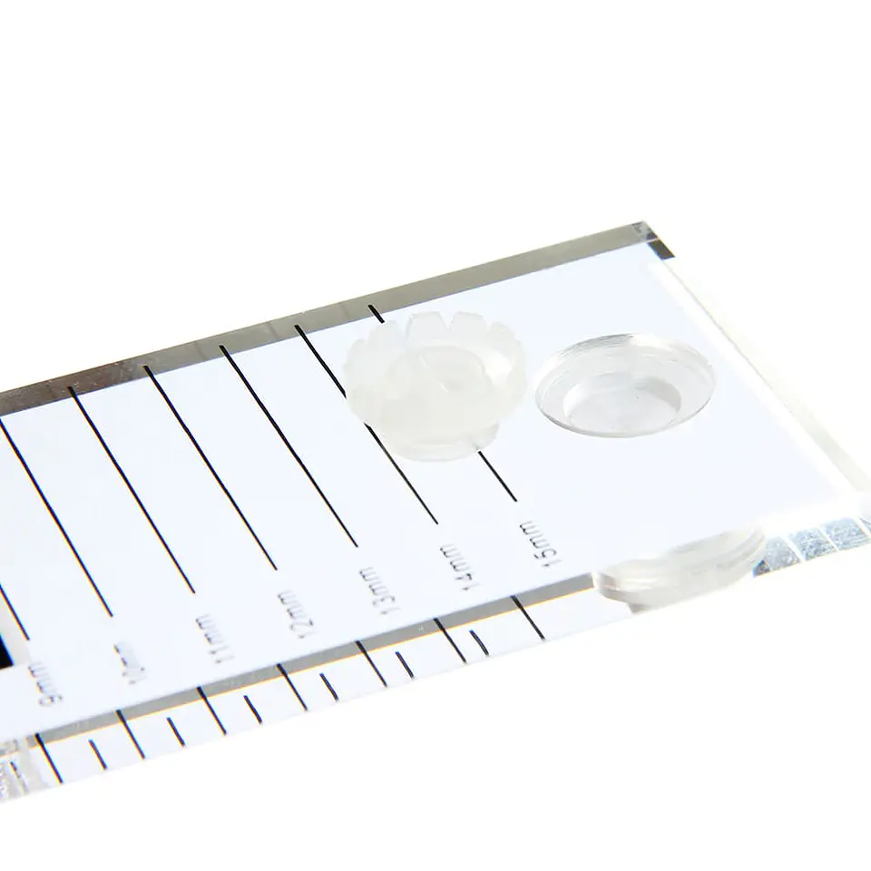 Paleta Acrílica para Pegamento de Pestañas 2