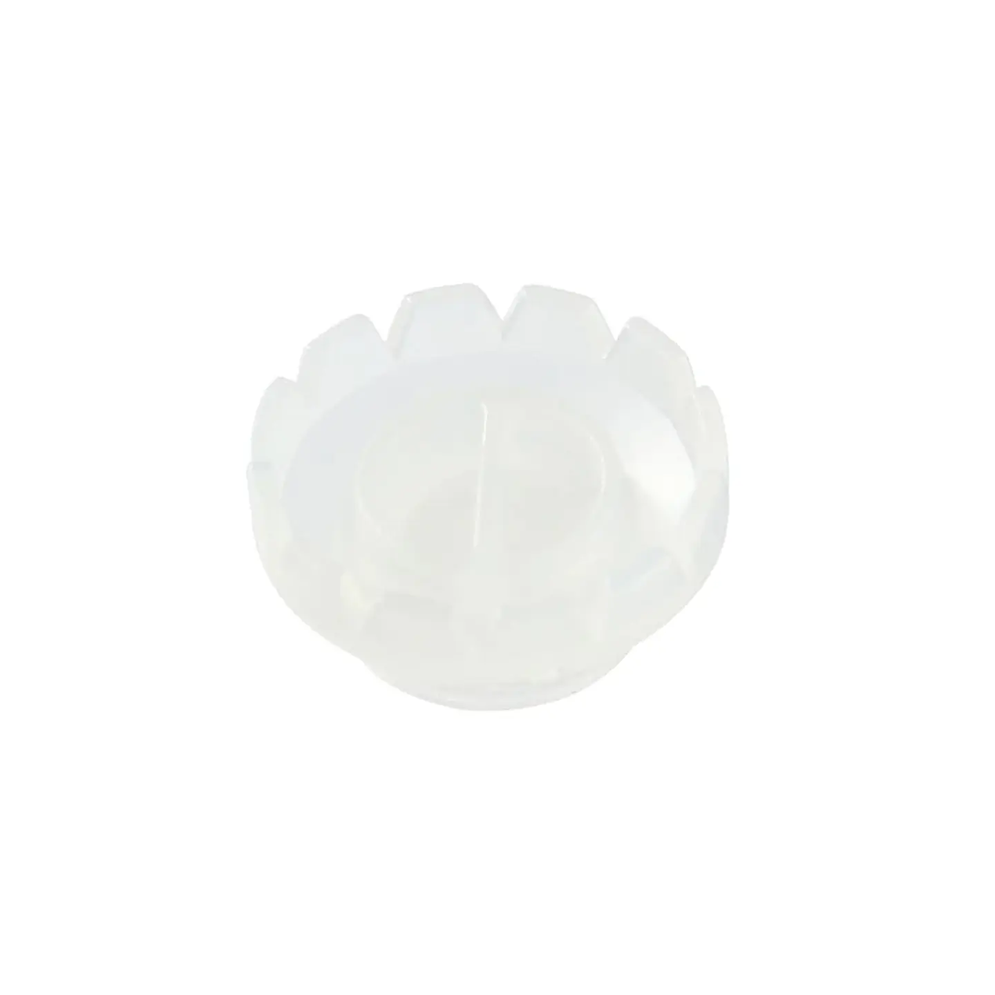 Paleta Acrílica para Pegamento de Pestañas 5