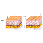 Equipo RF Cooling Monopolar Vertical  7