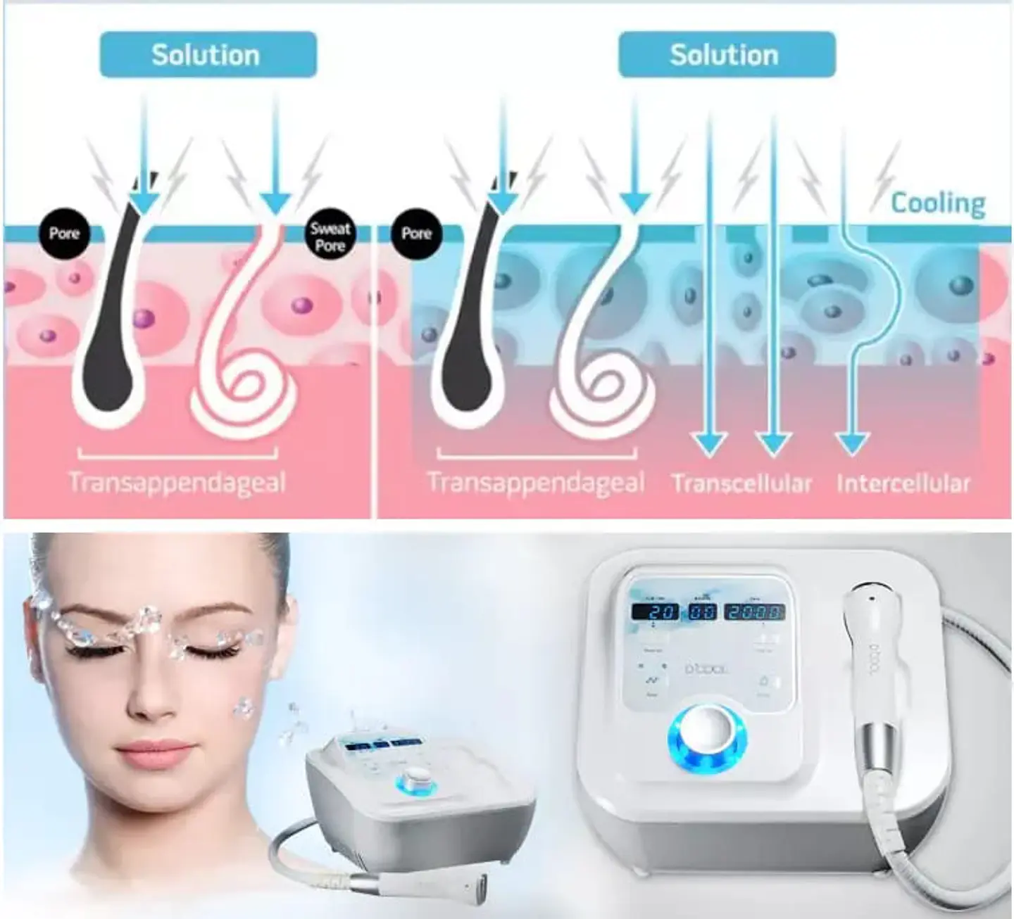 Electroporador D-Cool 4