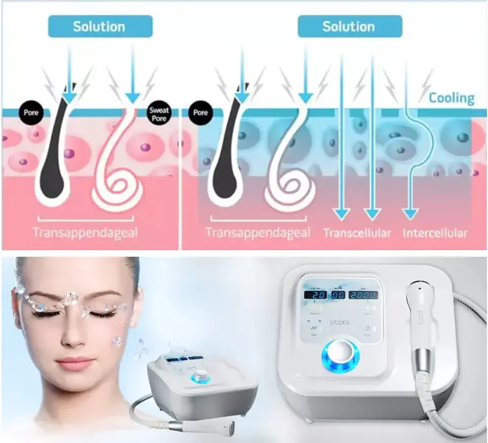 Electroporador D-Cool 4