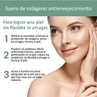 Serum de Colágeno 4