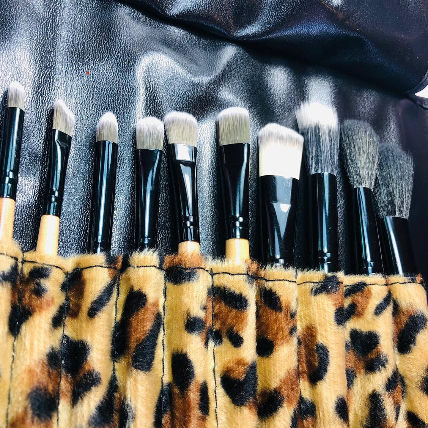 SET DE BROCHAS ANIMALPRINT 1