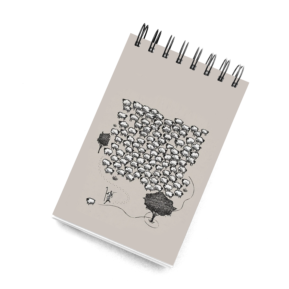 Croquera 100 ovejas 1