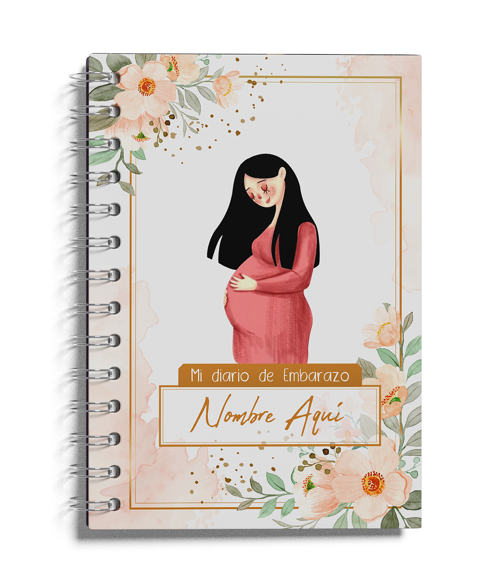Mi Diario de Embarazo 1