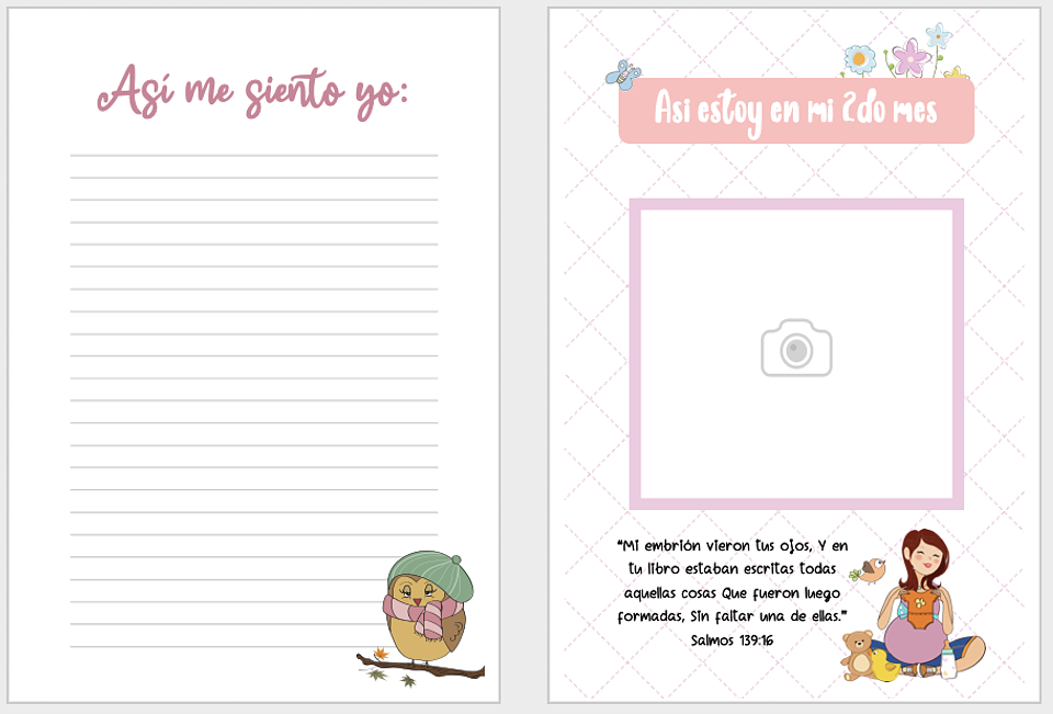 Mi Diario de Embarazo 3