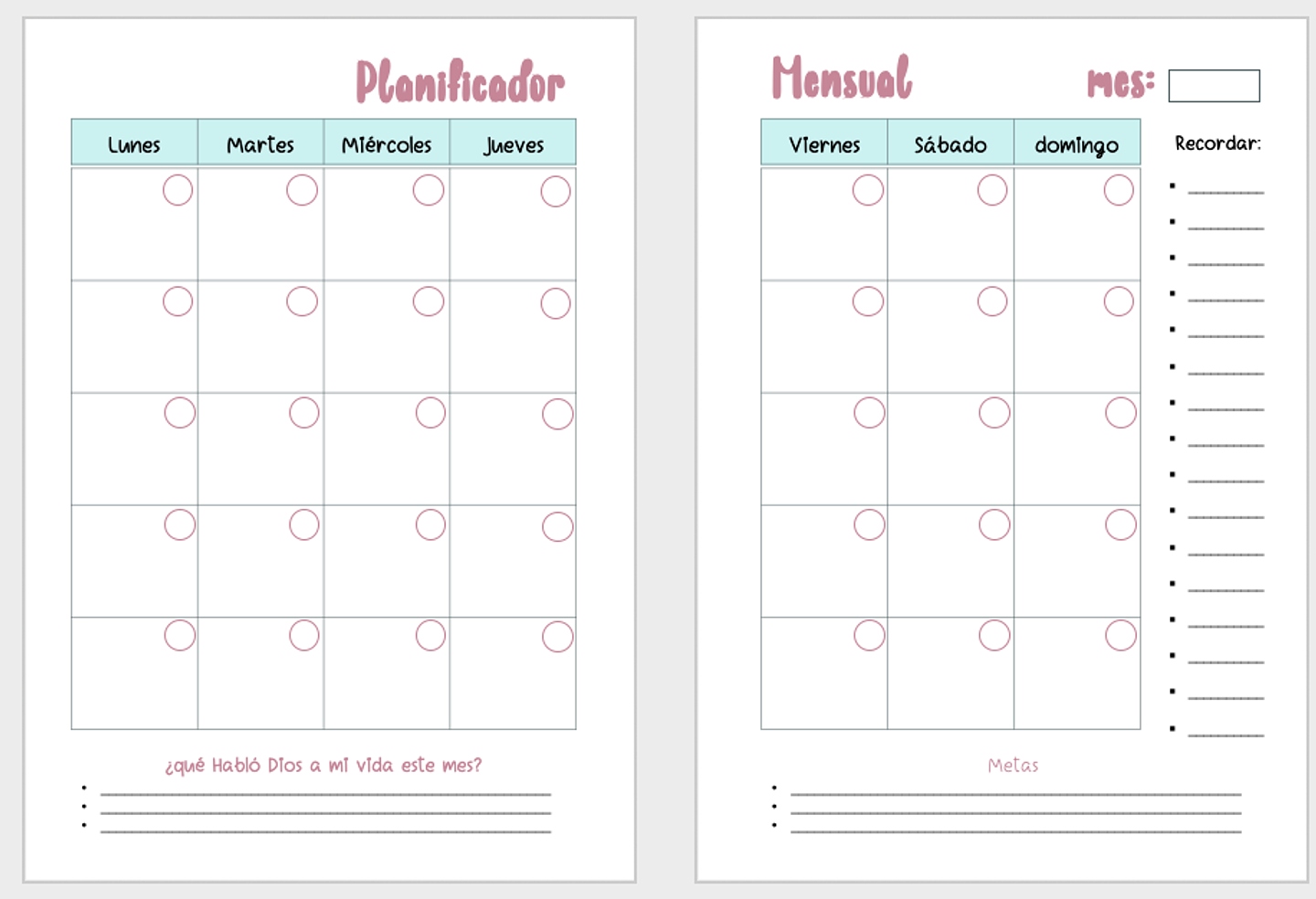 Mi Diario de Embarazo 5