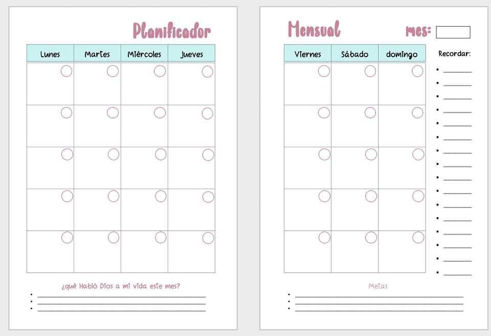 Mi Diario de Embarazo 5