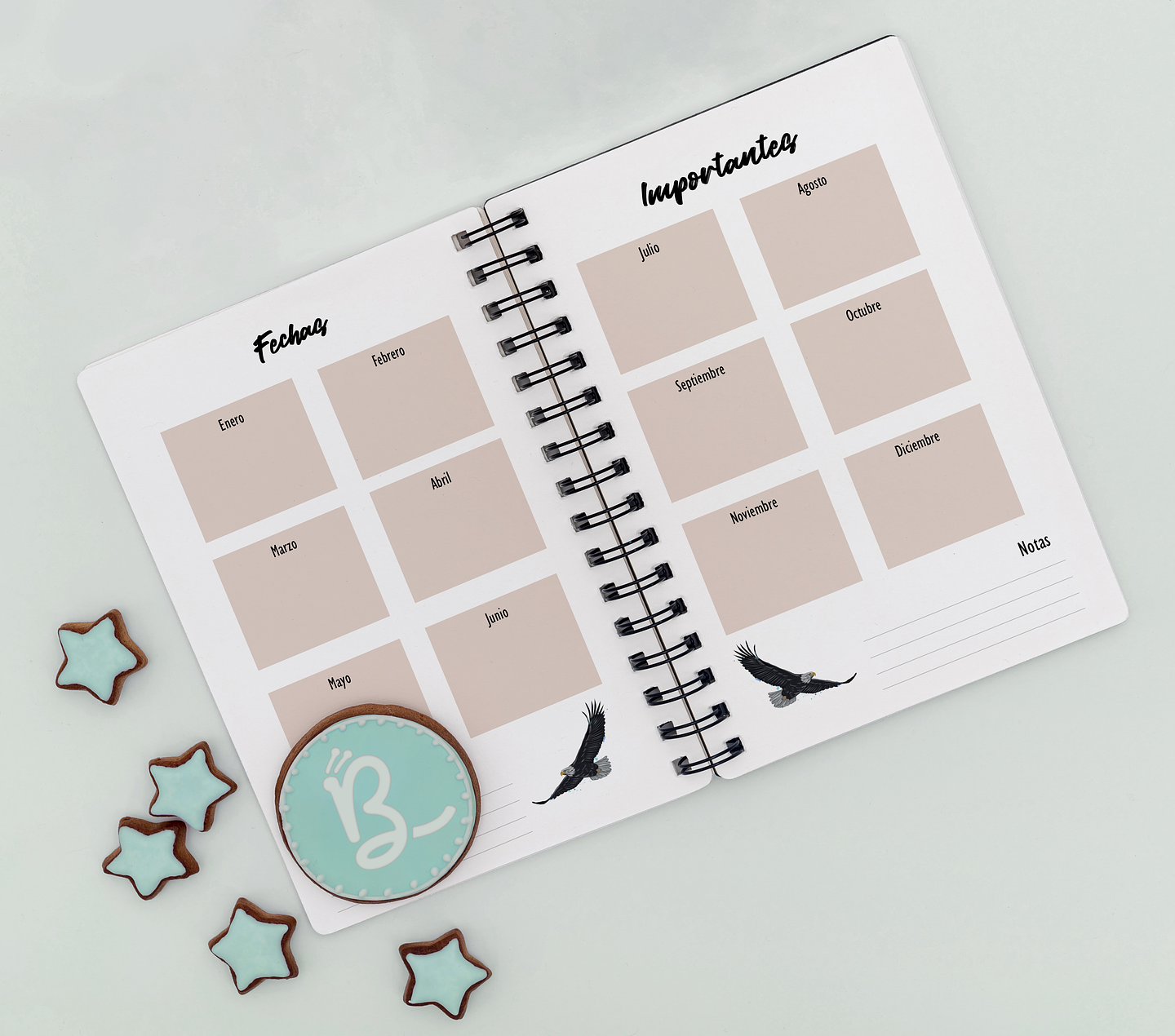 Agenda Puedo Volar 4