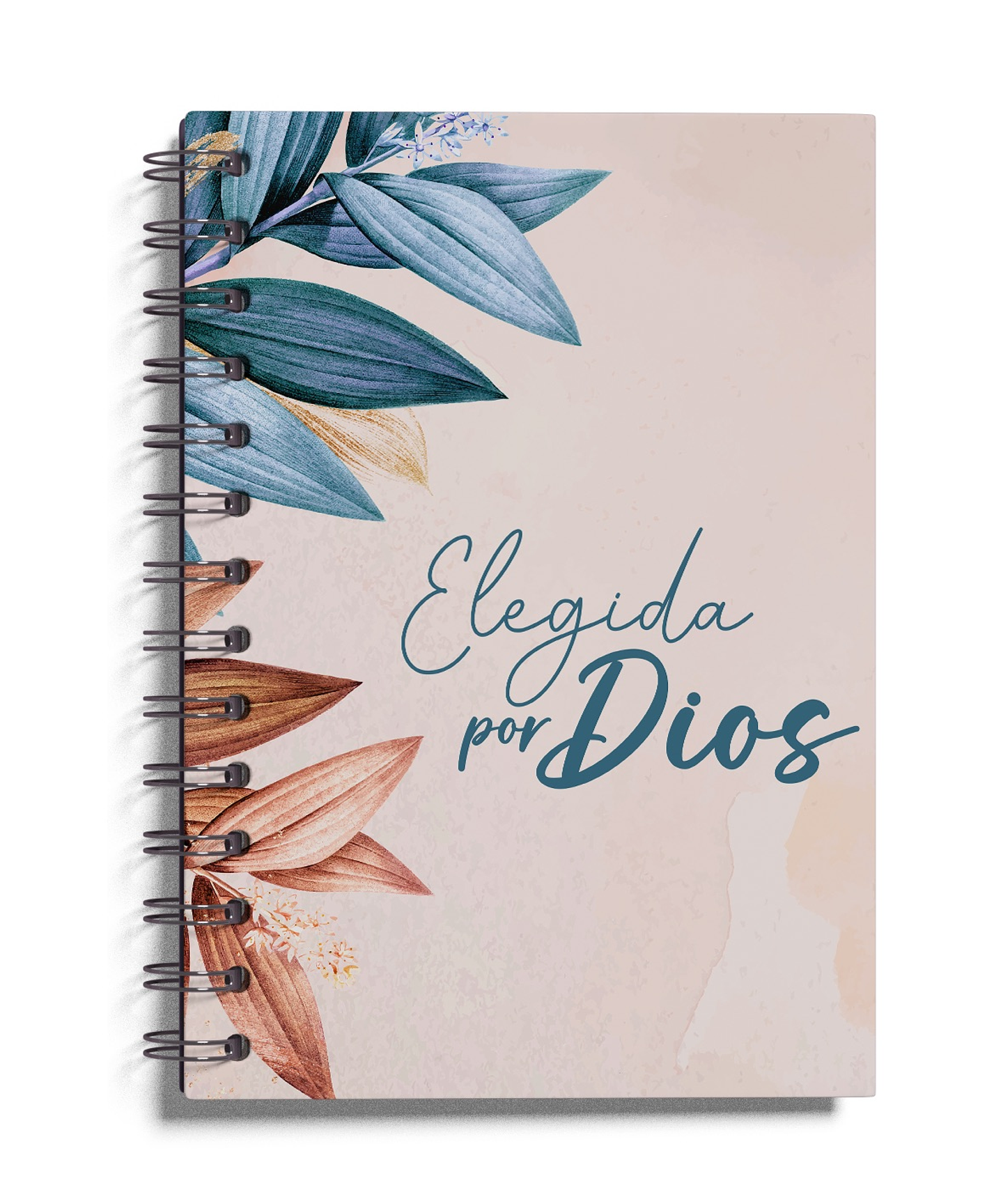 Agenda Docente Bendi 3