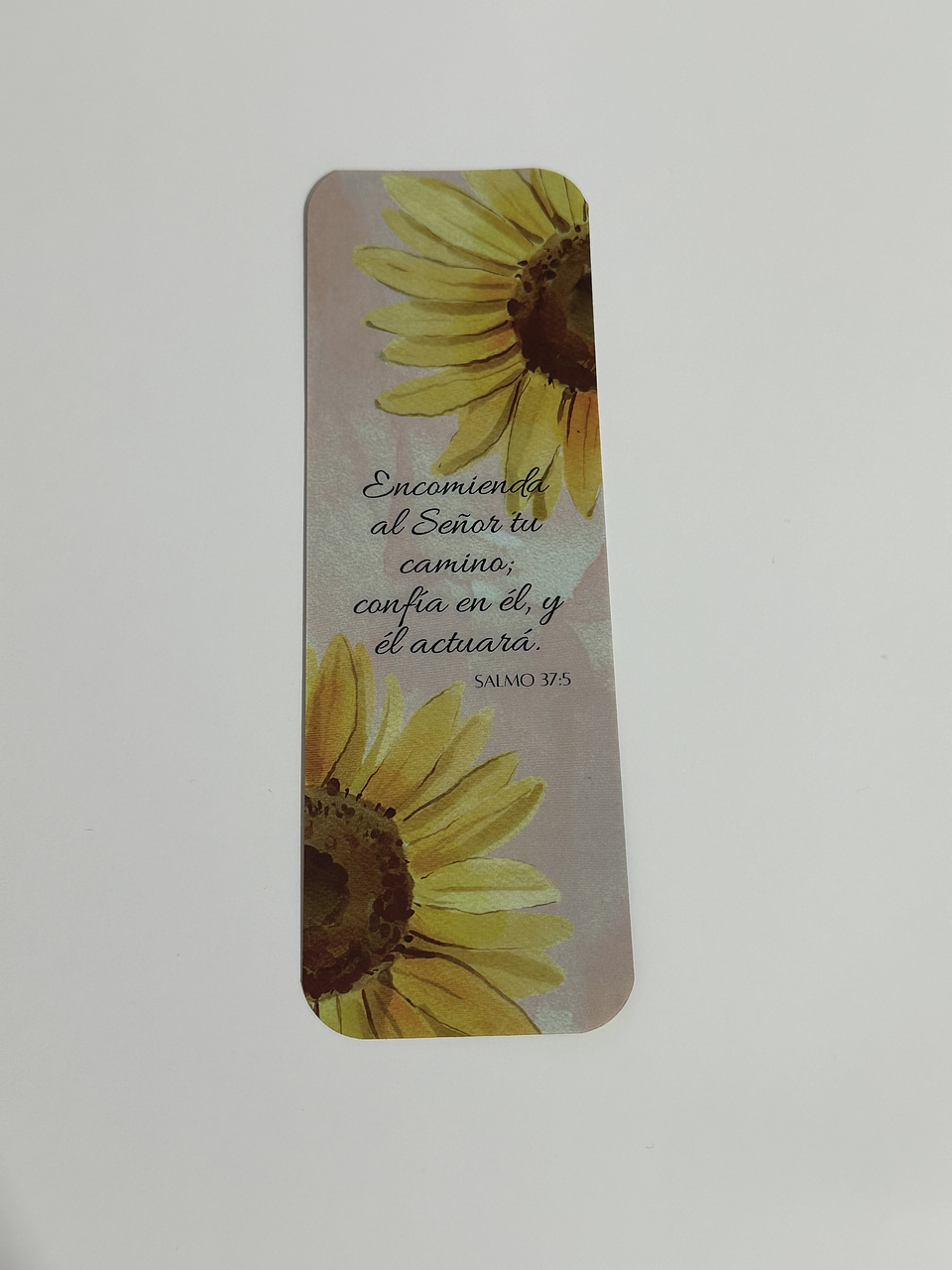 Separador Termolaminado Salmo 37:5 2