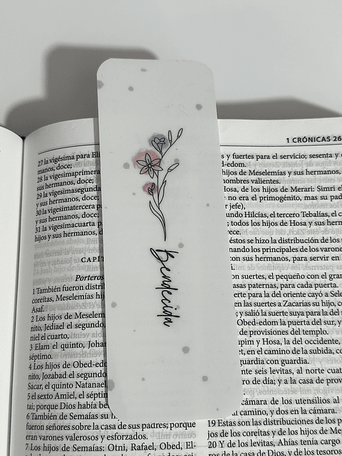 Separador Termolaminado bendecida 