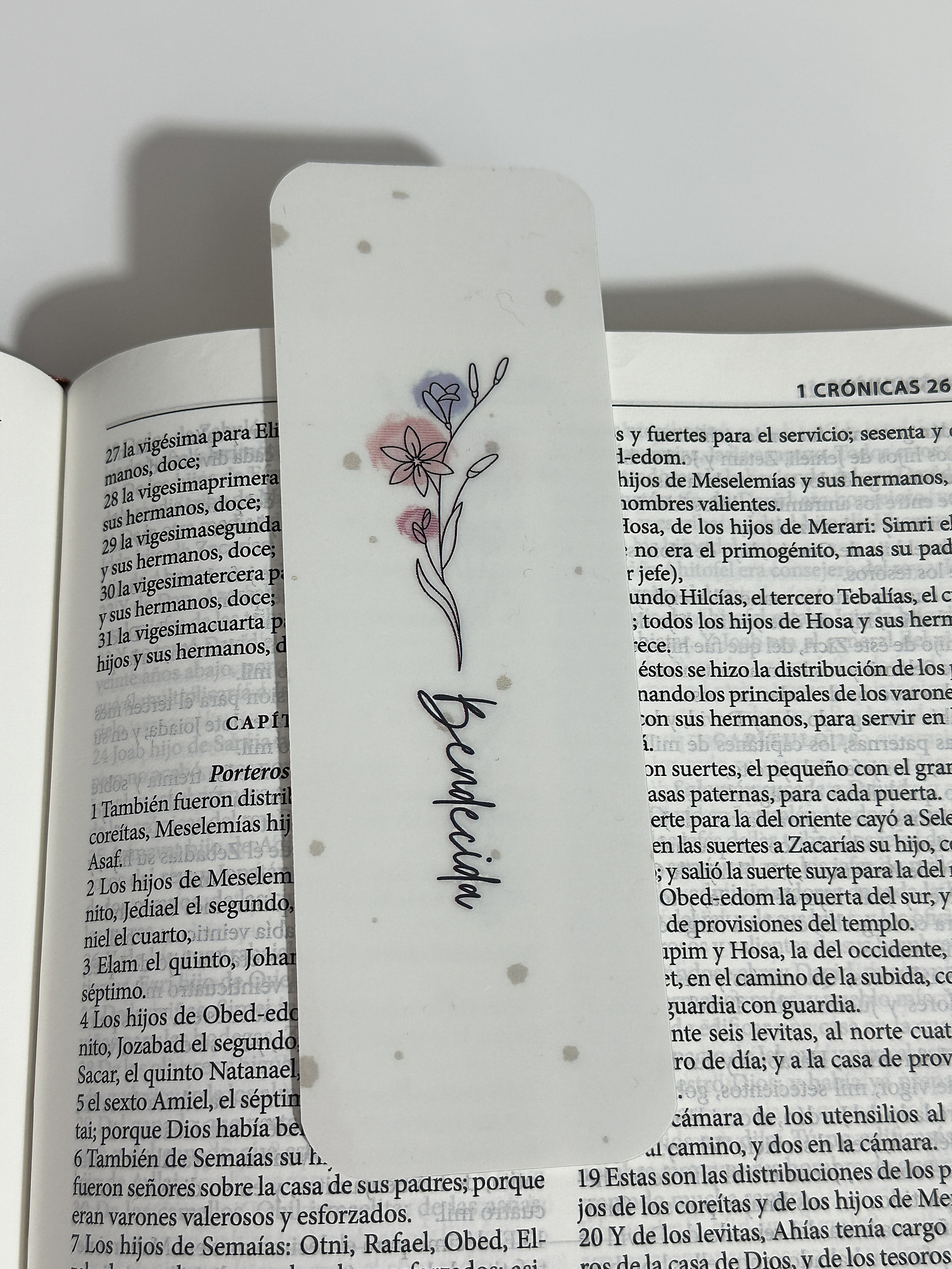 Separador Termolaminado bendecida  1